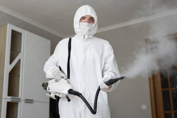 Why You Should Choose Our Mold Remediation Services in Millville, NJ