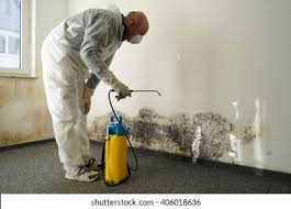 Millville, NJ Mold Removal Company